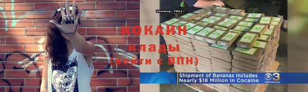 дмт Арсеньев
