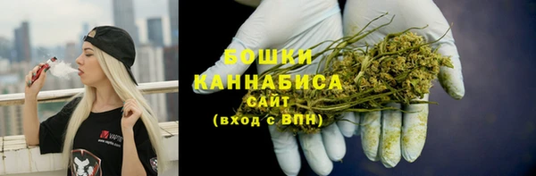 ГАЛЛЮЦИНОГЕННЫЕ ГРИБЫ Аркадак