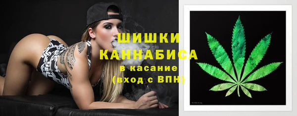 ГАЛЛЮЦИНОГЕННЫЕ ГРИБЫ Аркадак
