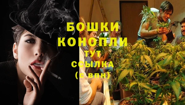 дмт Арсеньев