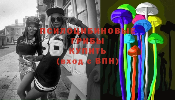 ГАЛЛЮЦИНОГЕННЫЕ ГРИБЫ Аркадак