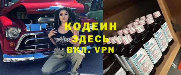 ГАЛЛЮЦИНОГЕННЫЕ ГРИБЫ Аркадак