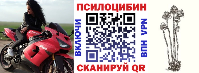 Псилоцибиновые грибы Psilocybine cubensis  omg онион  Пугачёв  как найти  
